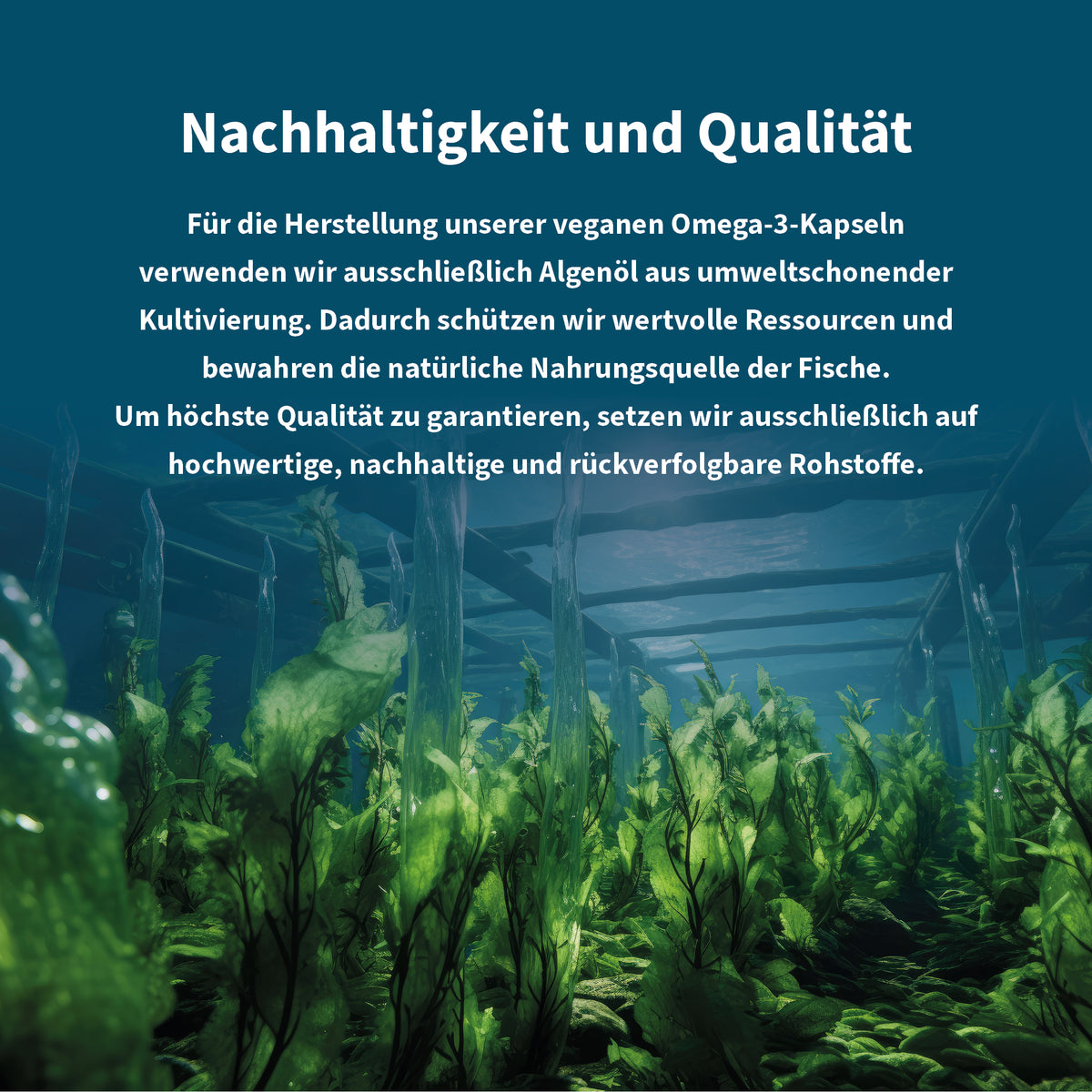 NatuGena Omega 3 Nachhaltigkeit und Qualitaet